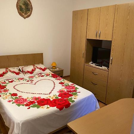 Garsoniera Delfinariu Hotel Constanta Luaran gambar