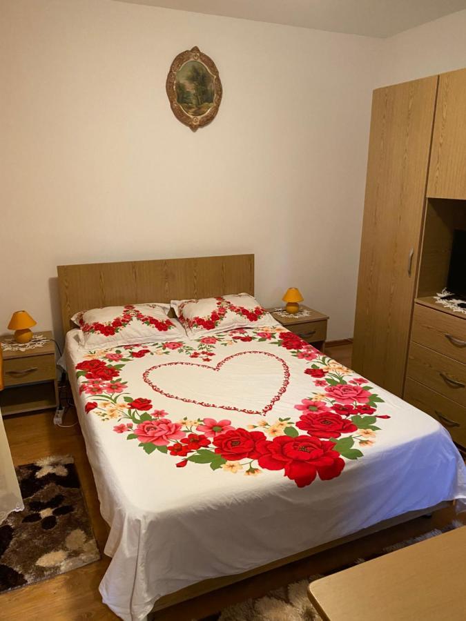 Garsoniera Delfinariu Hotel Constanta Luaran gambar